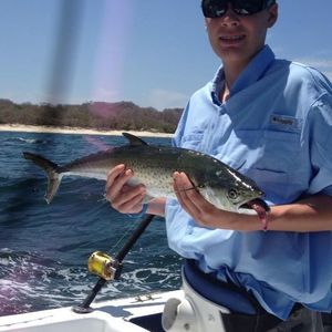 Meet your Posher, Brady